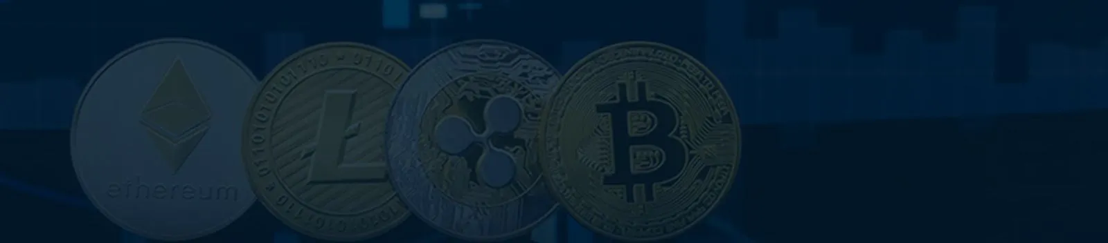 Bitcoin Loophole - Una guía completa para el comercio de criptomonedas