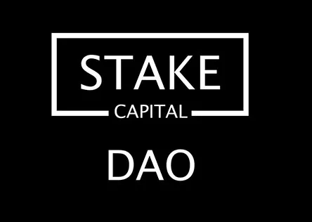 Bitcoin Loophole - 10. Capital de participación DAO [SCT]